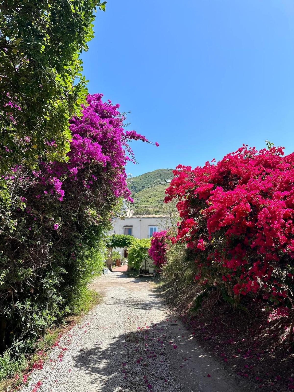 Villa Tiche Чефалу Экстерьер фото